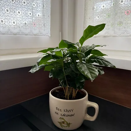 Ostoja Brzozowa Σπίτι διακοπών